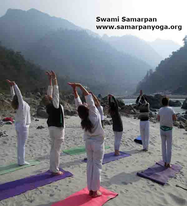  hatha yoga course in rishikesh 